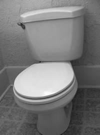  toilet repair costs